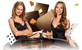 Pemain Bingo poxy28 menggunakan fitur multi-kartu untuk meningkatkan peluang menang